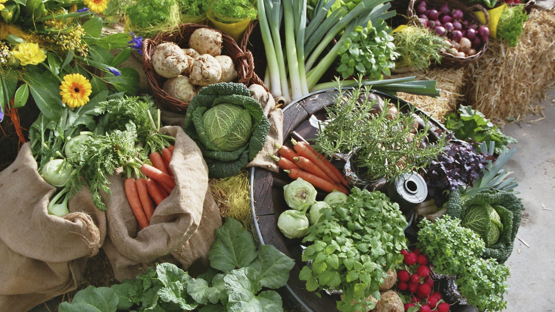 Ein bunter Strauß an frischem Gemüse aus heimischem Anbau ist eines von unzähligen Produkten, über deren Herstellung sich Verbraucherinnen und Verbraucher im Rahmen der Aktion „Gläserne Produktion“ vor Ort informieren können.