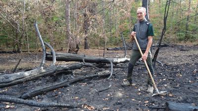 Lukas Stange von ForstBW inspiziert die Schäden nach den Sommerbränden im Hardtwald. Einige der Bäume sind nicht mehr zu retten.