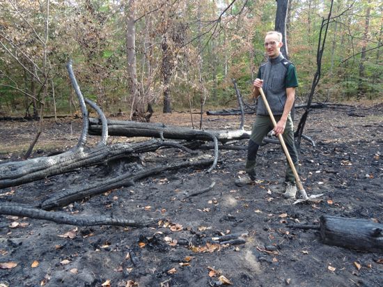 Lukas Stange von ForstBW inspiziert die Schäden nach den Sommerbränden im Hardtwald. Einige der Bäume sind nicht mehr zu retten.