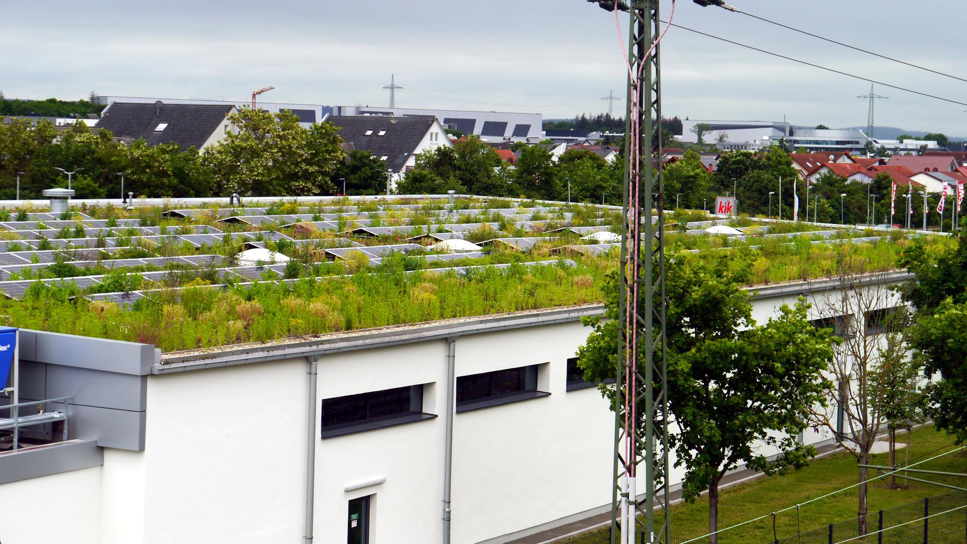 Eine Klimaanalyse hat die Gemeinde Graben-Neudorf erstellen lassen. Unser Bild zeigt das begrünte Dach eines Gebäudes in der Neudorfer Einkaufsmeile.