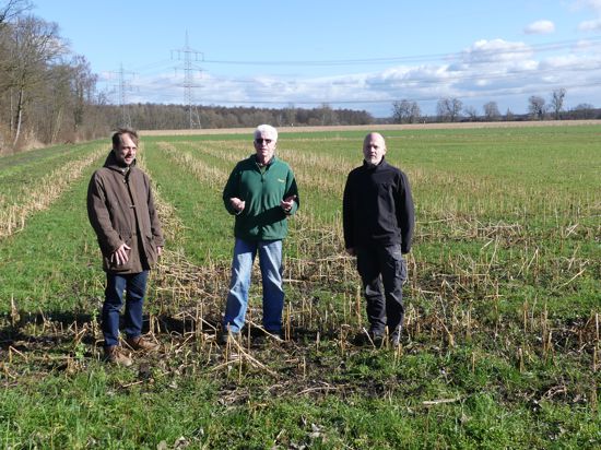 Hand in Hand arbeiten Christian Erb, Landwirt Sigurd Zimmermann und Thomas Kuppinger (von links) bei der Kiebitz-Artenschutzmaßnahme im Liedolsheimer Bruch zusammen. 