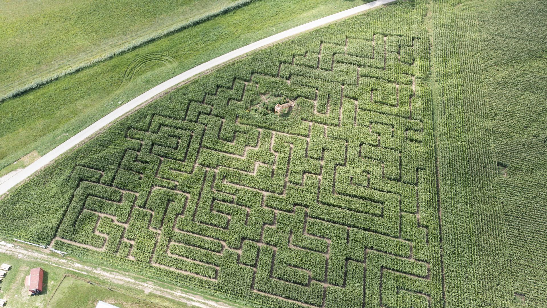 Maislabyrinth in Dettenheim