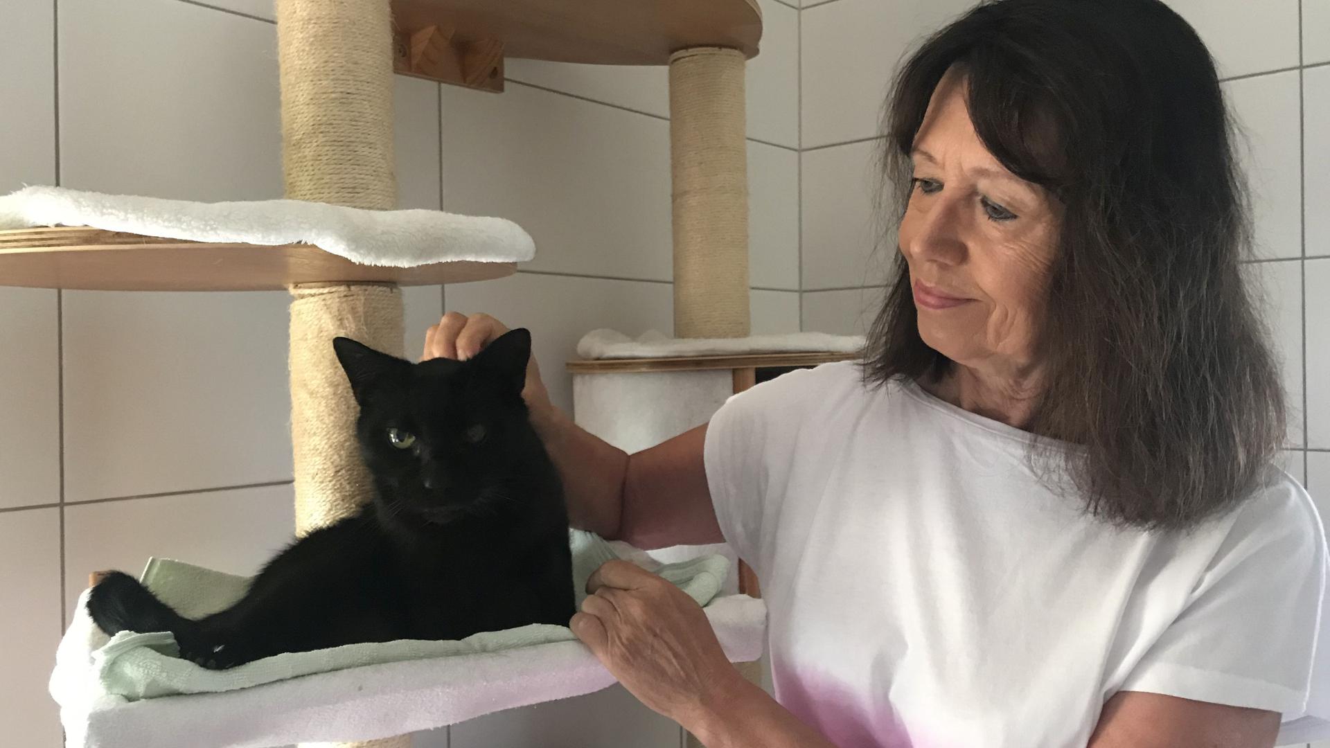 Liebevolle Katzenmutter: Renate Leutloff, Vorsitzende des Katzenschutzvereins Karlsruhe und Umgebung, mit Kater Karlo.