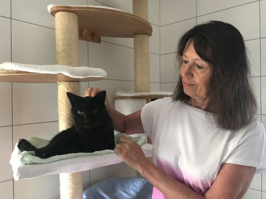 Liebevolle Katzenmutter: Renate Leutloff, Vorsitzende des Katzenschutzvereins Karlsruhe und Umgebung, mit Kater Karlo.