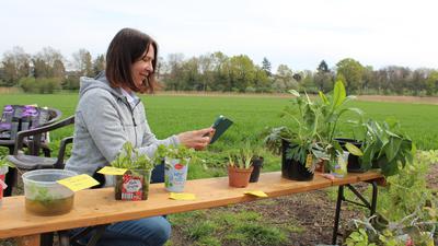Claudia Rudolf bestimmt mit einer Smartphone-App eine Pflanze. 