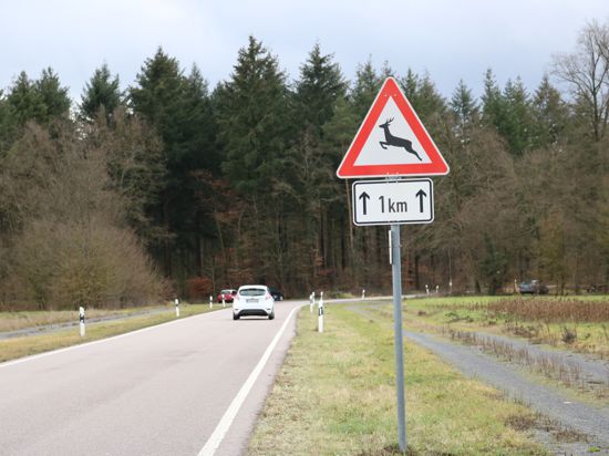 Plötzlich kann es ganz schnell gehen: Im Landkreis Karlsruhe gibt es viele Landstraßen in oder in der Nähe von Waldstücken. Vor allem in der Dämmerung ist Vorsicht geboten.