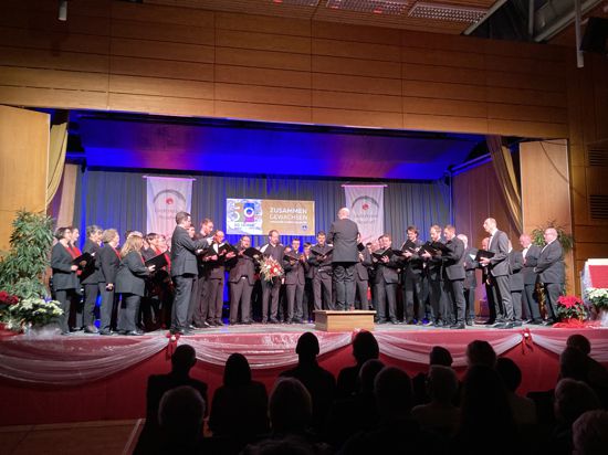 Der MGV Liederkranz Neudorf, hier bei einem Auftritt in der Pestalozzi-Halle, sucht noch Projektsängerinnen und -sänger für ein besonderes Konzert.