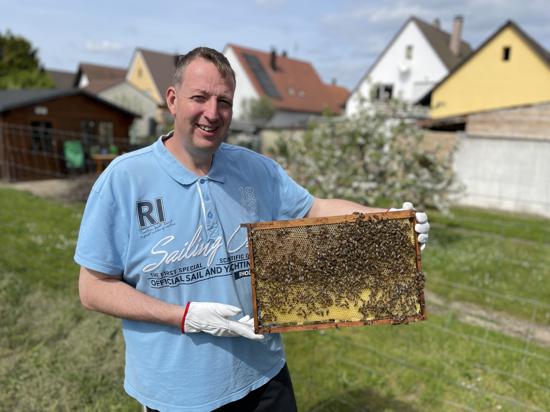 Mann hält Bienenwabe 