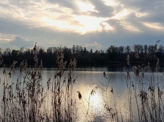 Ein Sonnenuntergang am Streitköpfle-See in Linkenheim-Hochstetten