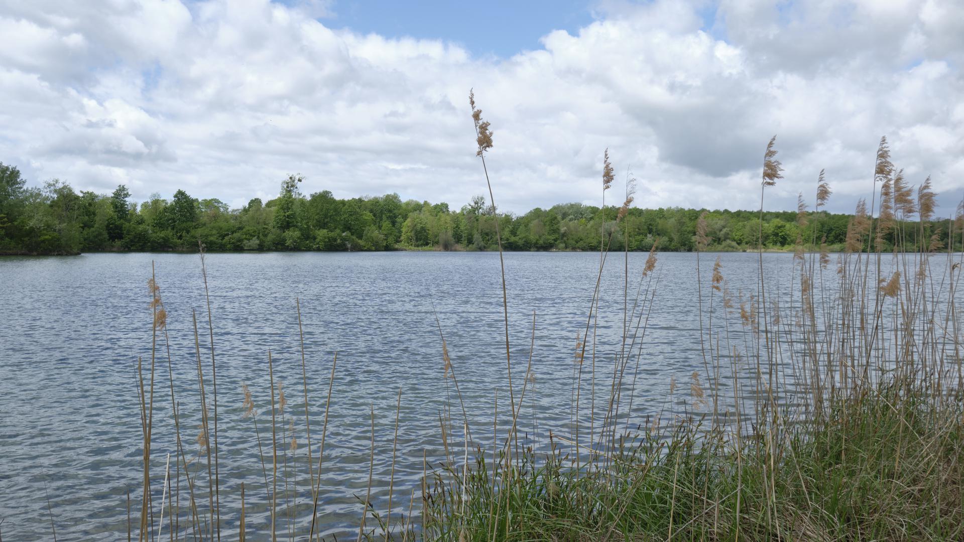 Geschützte Natur: Der Baggersee Streitköpfle ist zu großen Teilen  ein Biotop.