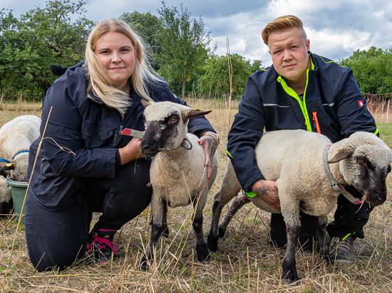 Nina Henninger und Colin Eisenhut, Tierhalter aus Stutensee-Friedrichstal, knien neben ihren Schafen. 