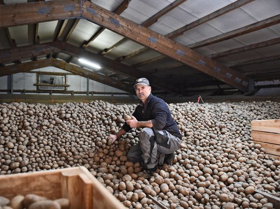 Landwirt Uwe Lengert sitzt in seinem Kartoffellager.