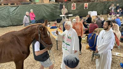 Pfarrer segnet ein Pferd beim Tiergottesdienst.