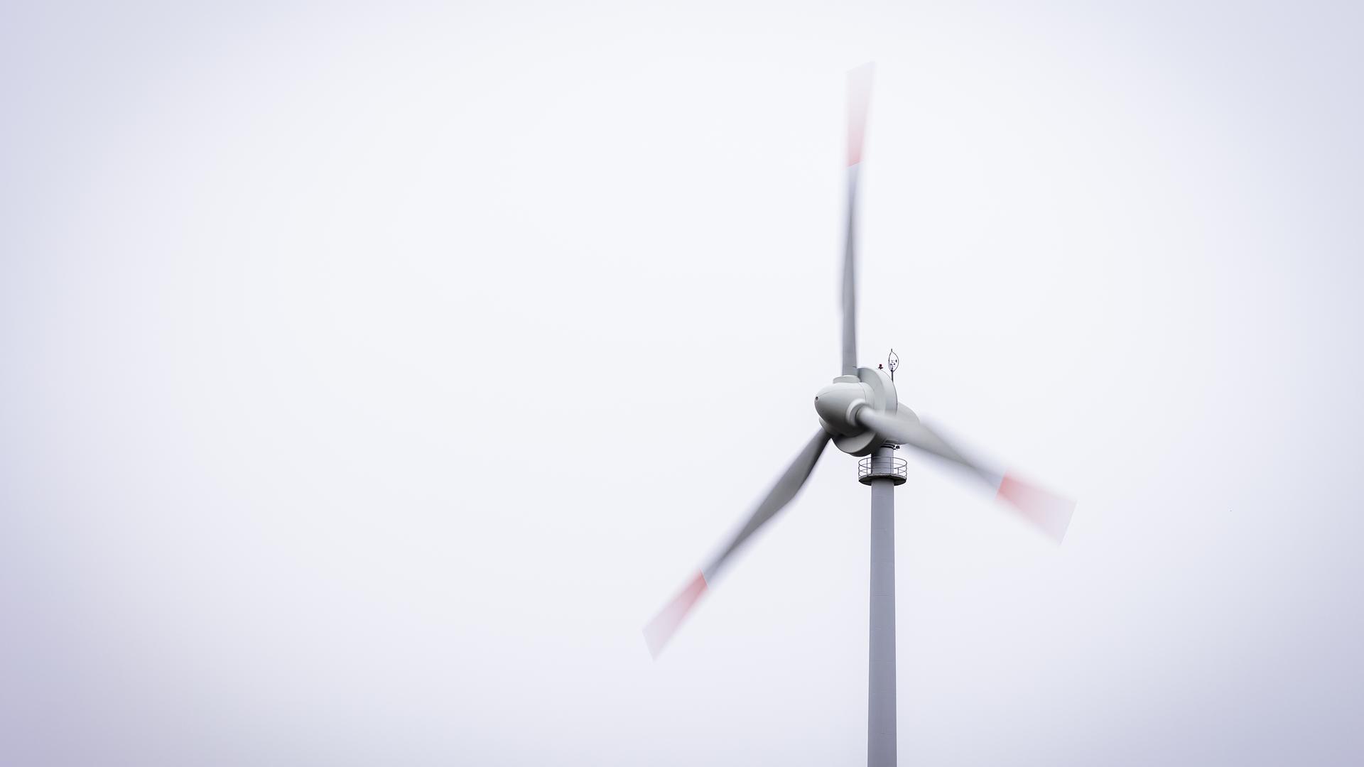Das Thema Windkraftanlagen wird in Muggensturm derzeit kontrovers diskutiert. Die Gemeinde lädt am 22. Mai zu einer Podiumsdiskussion ein.  Foto: Moritz Frankenberg/dpa