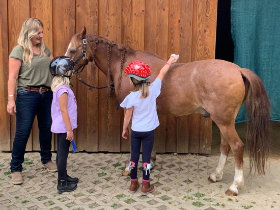 Putzen will gelernt sein: Daniela Zöller beobachtet ihre Ponyzwerge ganz genau. Die Kinder lernen von Anfang an, wie sie den Striegel über den Rücken und Bauch des Ponys führen können. 