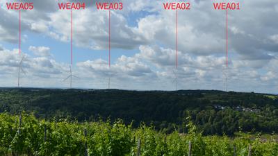 Veränderte Aussicht: Fünf Windkraftanlagen hält der Energiekonzern auf Weingartener Gemarkung im Landkreis Karlsruhe für möglich. Vor Ort treffen die Pläne auf Widerstand.