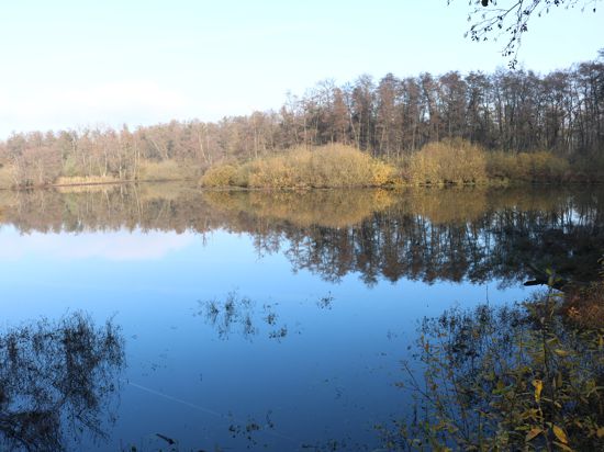 Naturschutzgebiet Weingartner Moor: Weingarten ist Aufsuchungsgebiet für Geothermie. Durch die Nähe des Naturschutzgebiets könne eine nachteilige Auswirkung einer Bohrung auf das Ökosystem nicht ausgeschlossen werden.