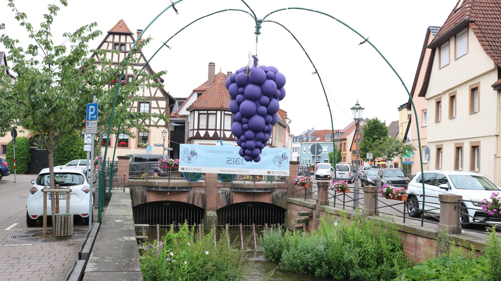 Eine riesige, dunkelblaue Traube hängt über dem Walzbach