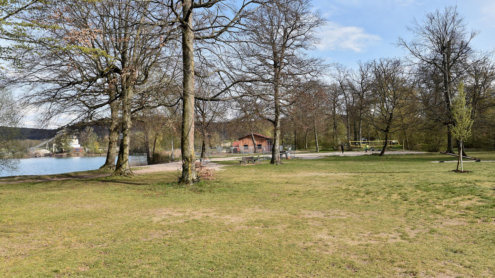 Liegewiesen und Bäume am Baggersee Weingarten, im Hintergrund ein Beachvolleyballfeld. 
