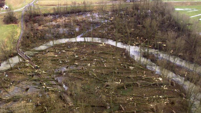 Das Luftbild vom 27.12.1999 zeigt ein Waldstück bei Karlsruhe, das durch Orkan Lothar fast völlig zerstört wurde.