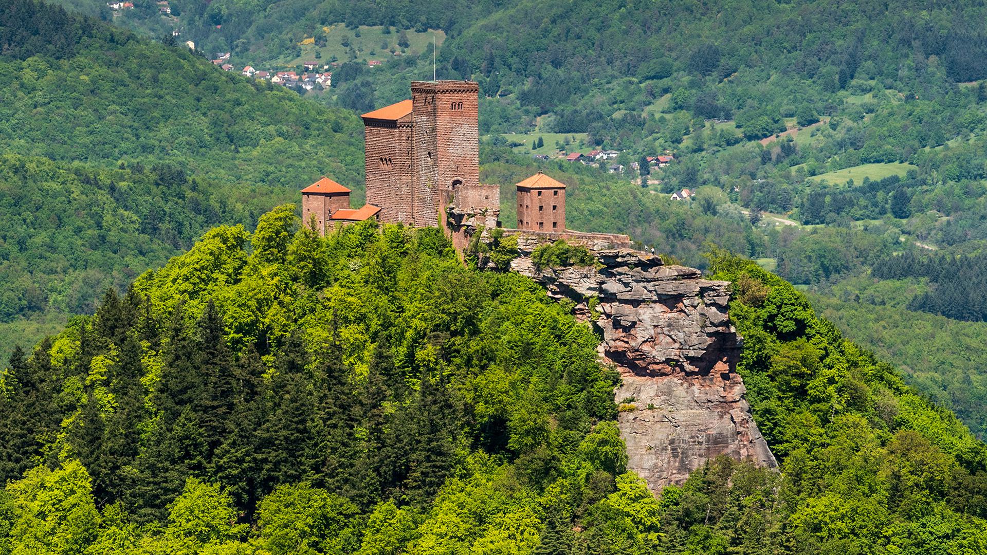 Beliebtes Ausflugsziel: Die Burg Trifels thront über dem Pfälzerwald.