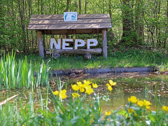 Hier geht’s los: Ein charmanter kleiner Tümpel markiert den Start- und Endpunkt des Naturerlebnispfads Pfinztal (NEPP).