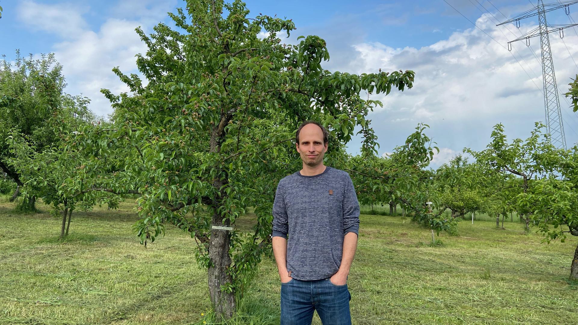 Alexander Wiedemann, der Vorsitzende des Obst- und Gartenbauvereins Berghausen, steht auf einer Wiese mit Obstbäumen.