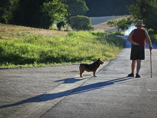 Rauchender alter Mann mit Strohhut und kurzen Hosen beim Spaziergang mit Hund auf dem Wöschbacher Weg. BNN hardt 20161020