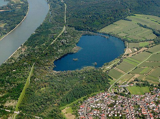 Ein Luftbild zeigt den Rhein, den Fermasee, ein Teil von Neuburgweier und den Auenwald.