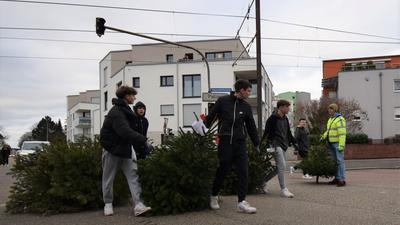 Training, mal anders: Die jungen Fußballer des SV Mörsch beim Einsammeln von ausgedienten Weihnachtsbäumen in Rheinstetten-Mörsch.