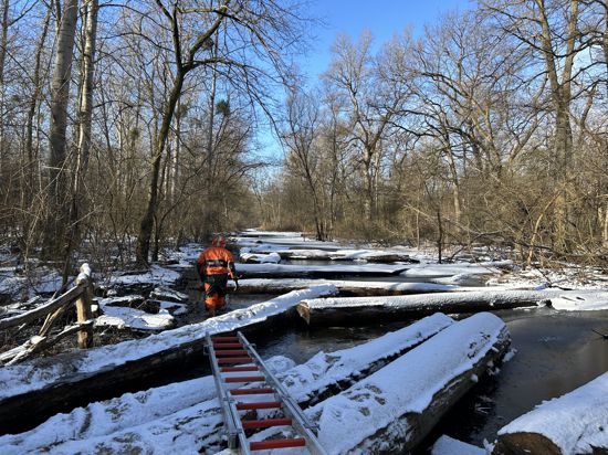 Auf diesem zugefrorenen Waldweg brach der Senior ins Eis ein. Durch die vorherige Überschwemmung liegen die Baumstämme kreuz und quer statt geordnet am Rand.