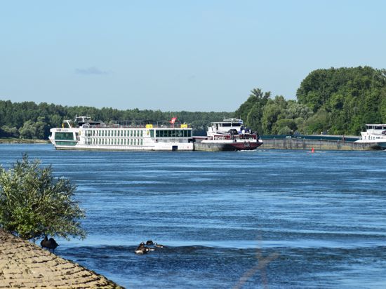 Fahrgastschiff Rhein
