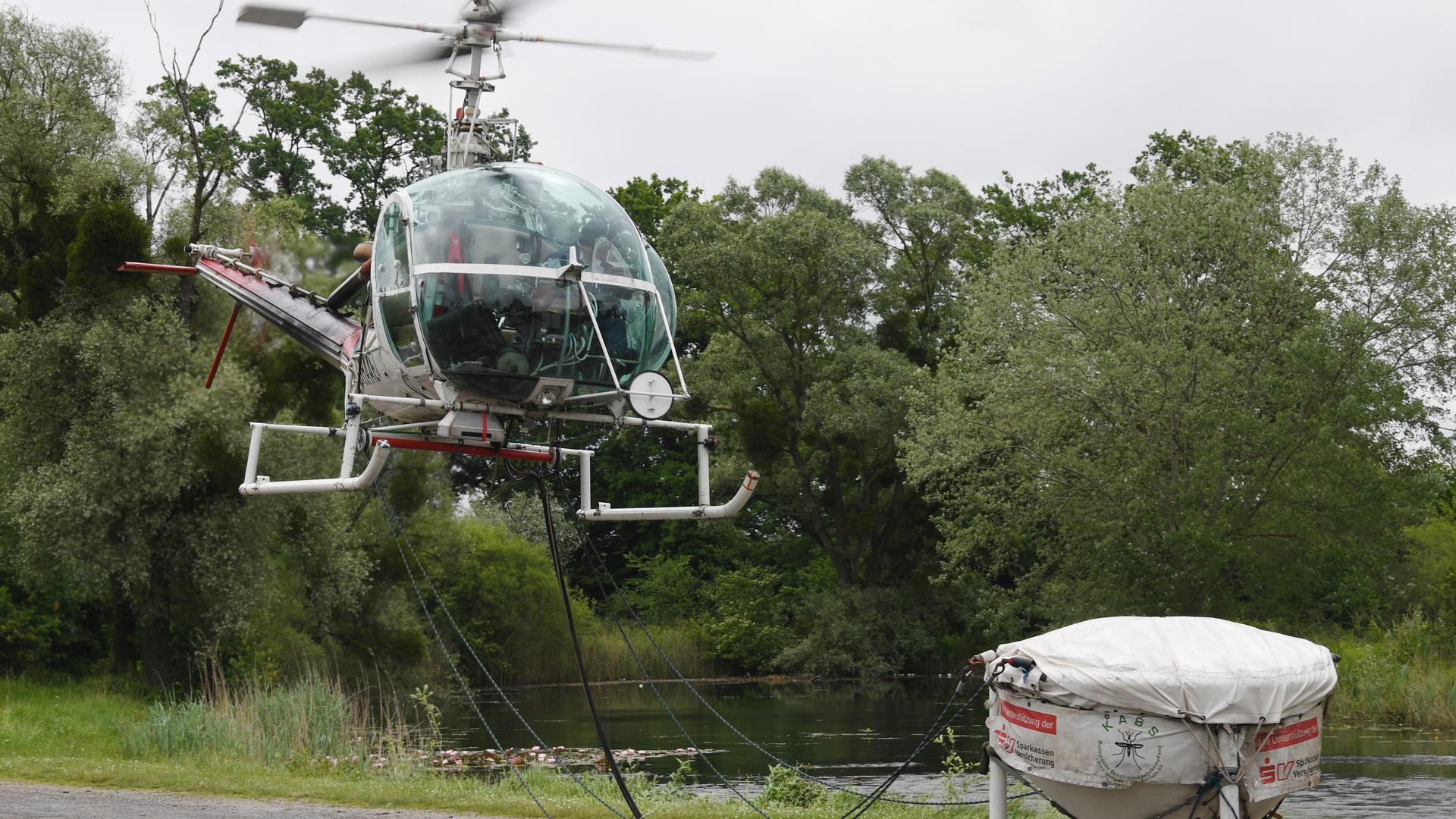 Kabs-Hubschrauber in Au am Rhein, der mit dem biologischen Mittel B.t.i., das in Eisgranulat eingebracht ist, Stechmücken bekämpft.