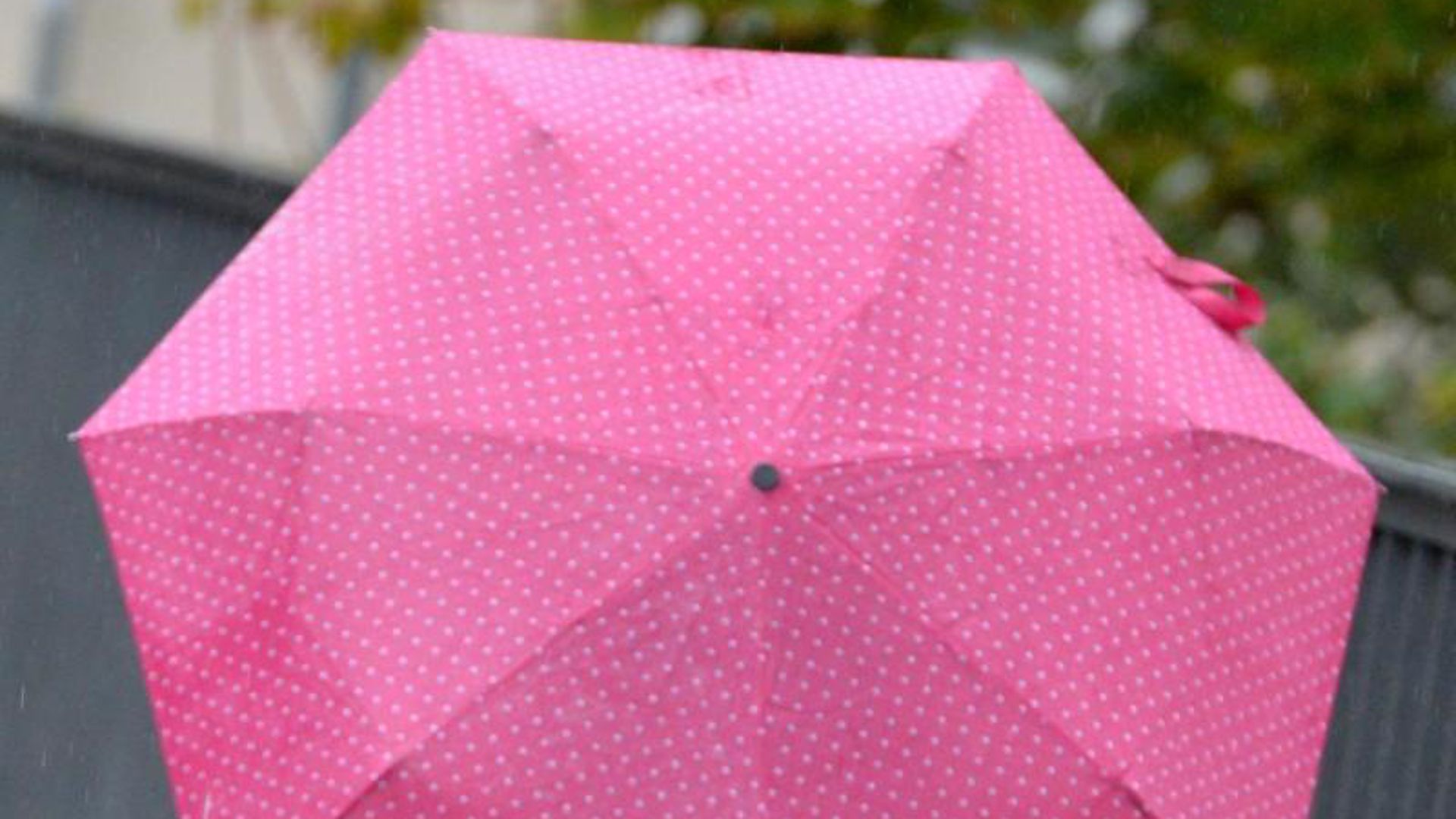 Kind mit einem Regenschirm