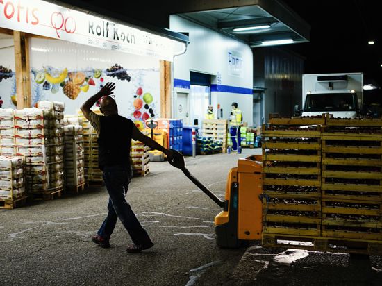 Karlsruhe: Ein Mitarbeiter der «Rolf Koch GmbH» transportiert Paletten mit Obst über eine Straße des Großmarkts.