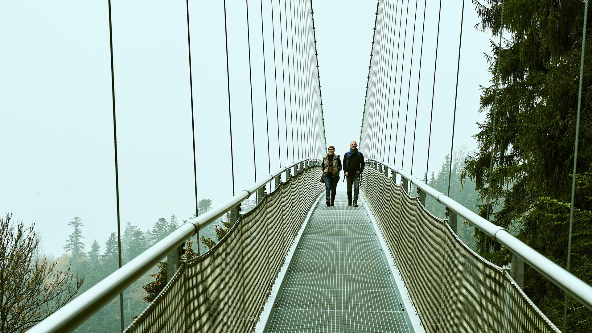 Nur für Schwindelfreie: In Bad Wildbad gibt es mit der Wildline eine beeindruckende Hängebrücke, die sich in 60 Metern Höhe über den Abgrund spannt.    