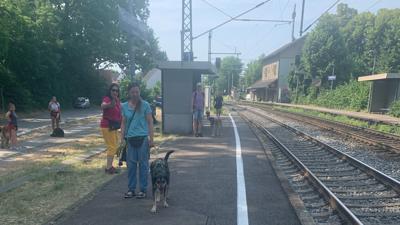 Hundehalter üben am Bahnhof Gondelsheim mit ihren Tieren für den Hundeführerschein