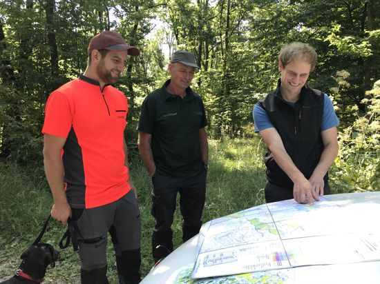 Die Revierleiter Jens Schweizer (von links) und Jochen Kaiser sowie Forstbezirksleiter Simon Boden schauen sich auf einer Karte an, welche Wälder im Forstbezirk Kraichgau besonders vom Buchensterben betroffen sind. 