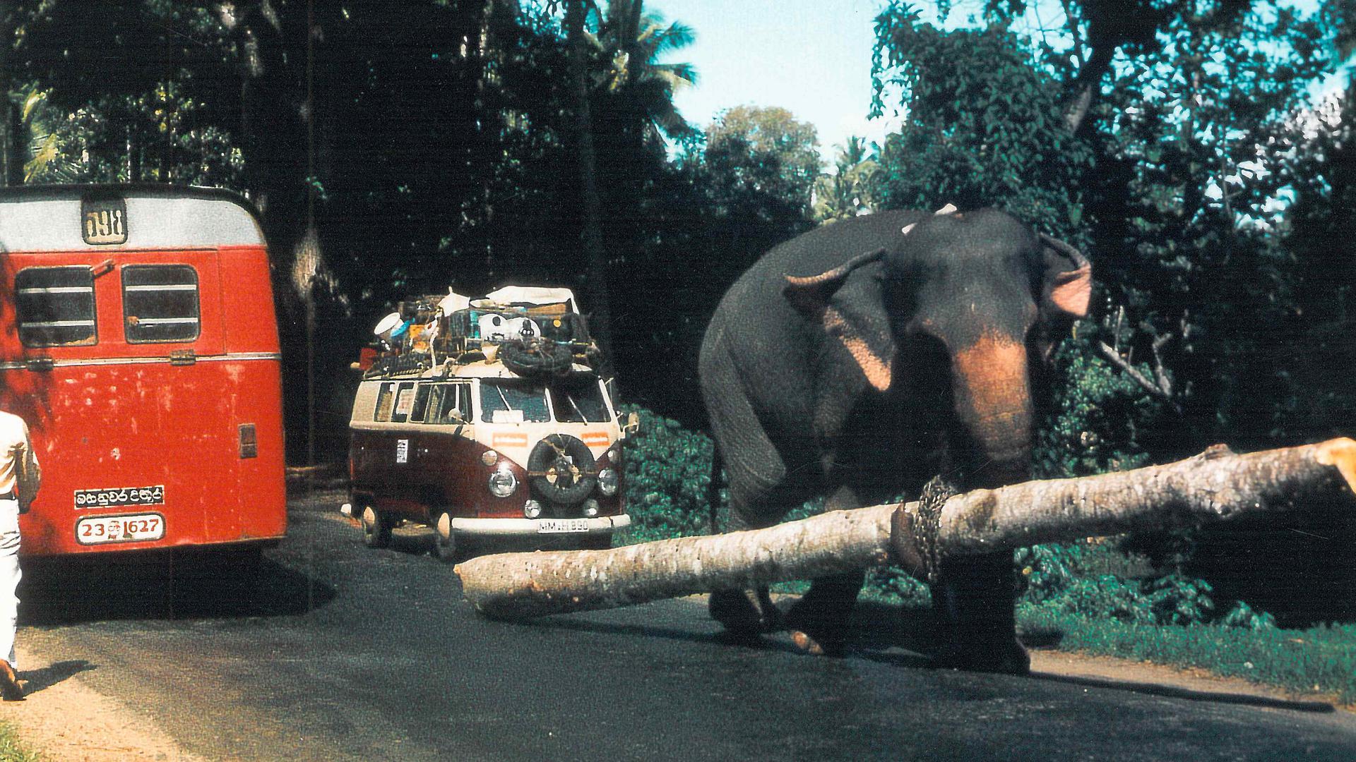 Tierische Blockade: In Indien versperren arbeitende Elefanten Jürgen Schultz den Weg. 