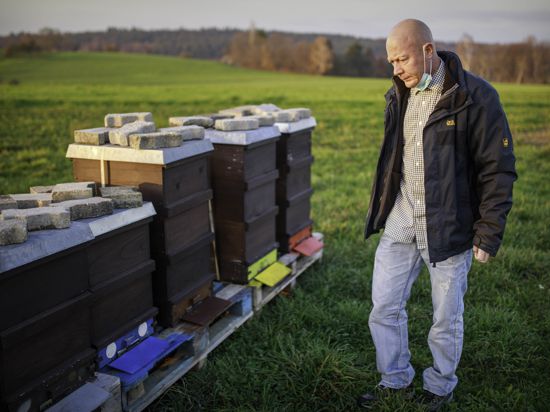 Der Diedelsheimer Imker Markus Behme sorgt sich um seine Bienen.