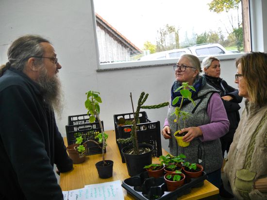 Die  Zitronenblatt Pflanzen von Thomas Berndt (links) fanden schnell Abnehmer