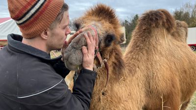 Als Dominik Weisheit „Wiliam“ ruft, kommt das Kamel sofort angetrabt und lässt sich streicheln.
