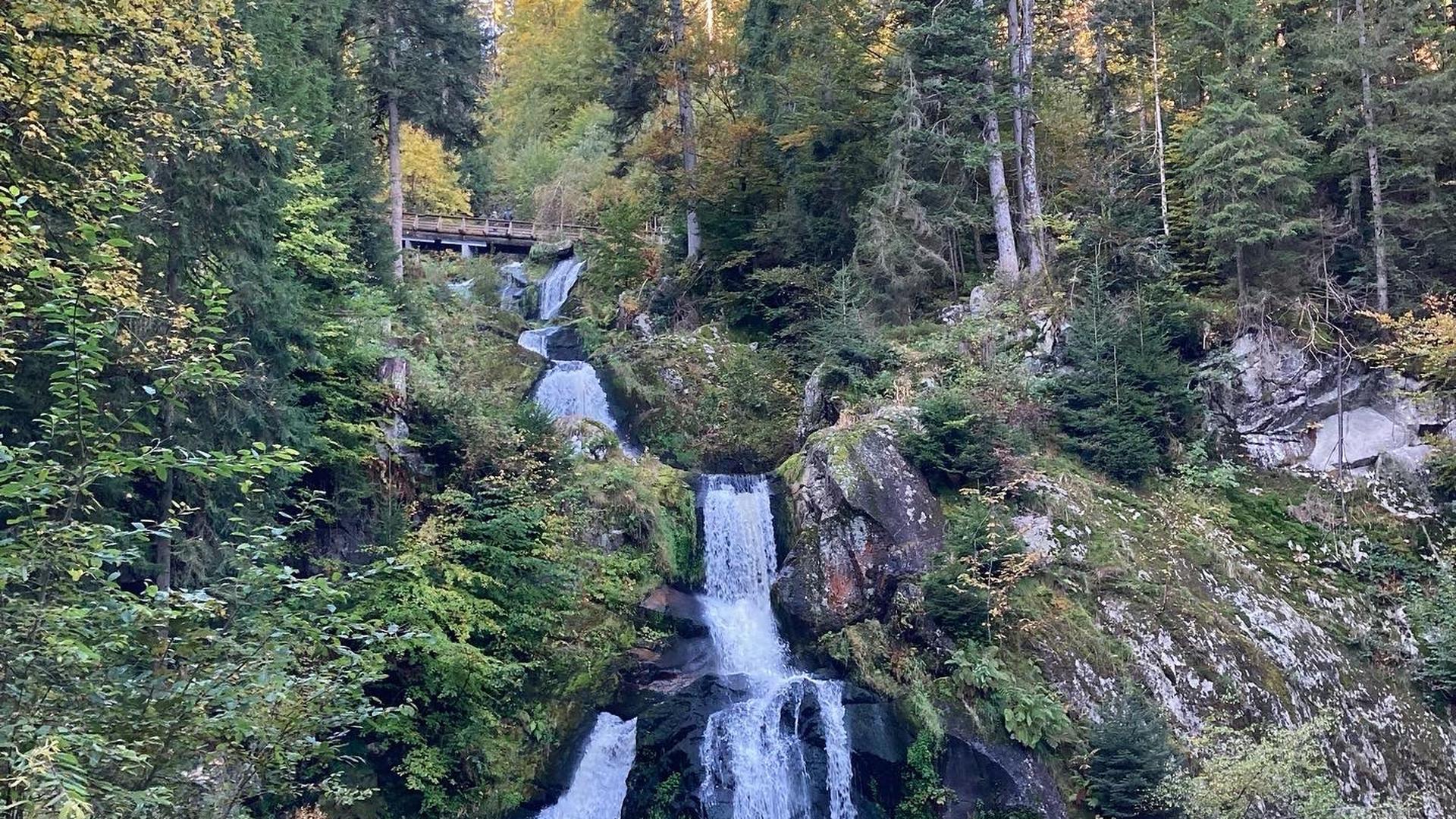 Beliebtes Ausflugsziel: Die Triberger Wasserfälle im Schwarzwald zählen zu den höchsten Wasserfällen in Deutschland. Insgesamt fällt das Wasser der Gutach 163 Meter in die Tiefe. 