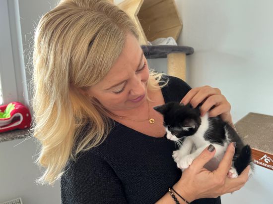 Sabrina Höllrigl hängt an den Katzen, um die sie sich kümmert. Dennoch ist es immer ihr Ziel, ein gutes Zuhause für die Tiere zu finden.