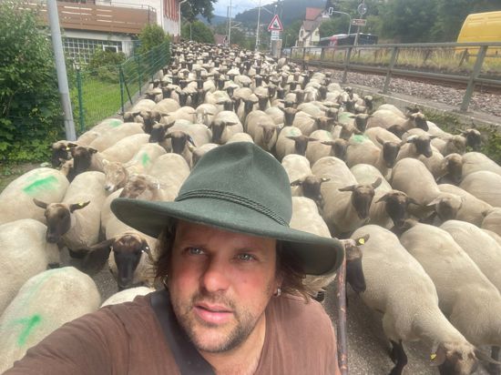 Er hat das Sagen: Matthias Meerwarth zeigt seiner Herde, wo es langgeht. 