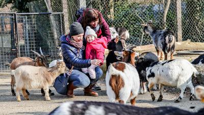 Melanie Schneider (links) ist mit Töchterchen Mia und ihrer Mutter Birgit zu Besuch im Tierpark Bretten.