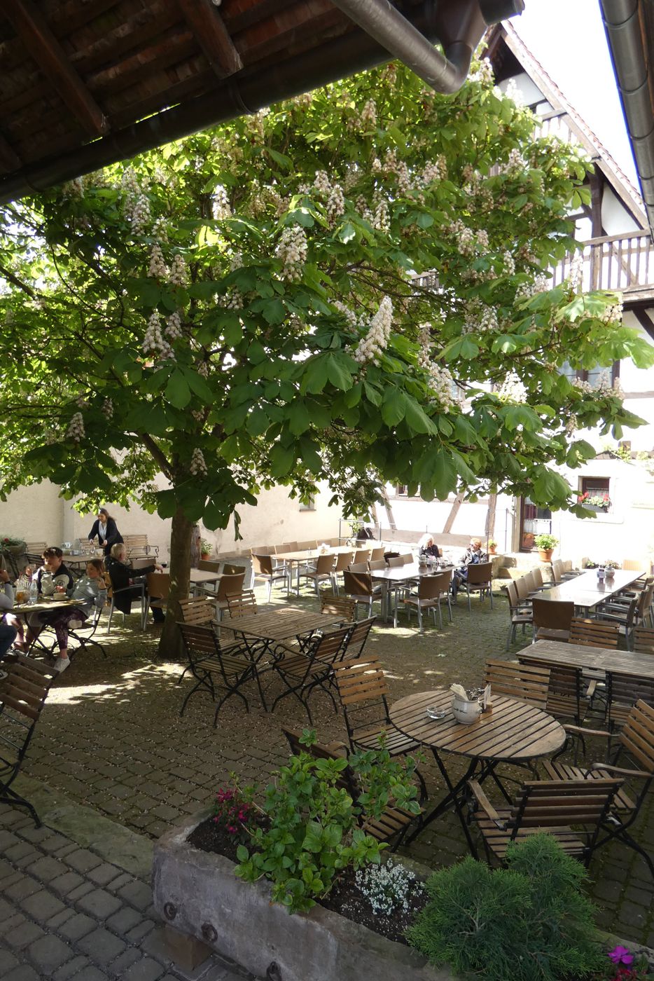 Hinter dem denkmalgeschützen Fachwerkhaus liegt unter einer großen Kastanie der Biergarten des Restaurants „Zum Nachtwächter“ in Lienzingen.