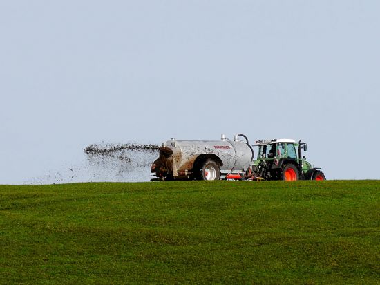 Bild zeigen Landwirt der flüssige Gülle offen ausbringt. Auf Ackerland ist das inzwischen verboten auf Grünland aber noch bis Februar 2025 erlaubt.