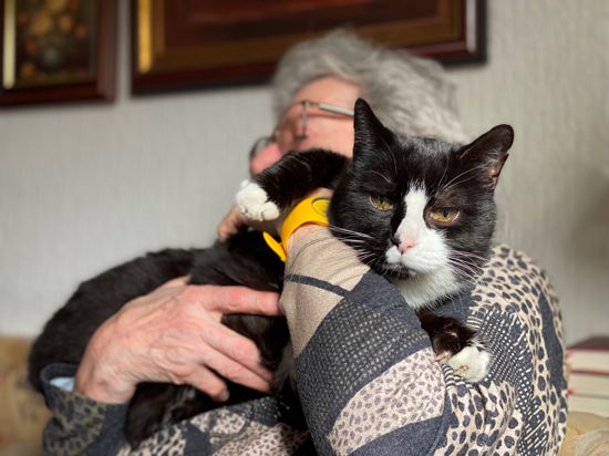 Ellen Siener, 81 Jahre, berichtet von ihrem Aufenthalt in der Klinik in Bretten. Das Foto zeigt sie mit Katze auf dem Arm, weil sie ihr Gesicht nicht zeigen möchte.