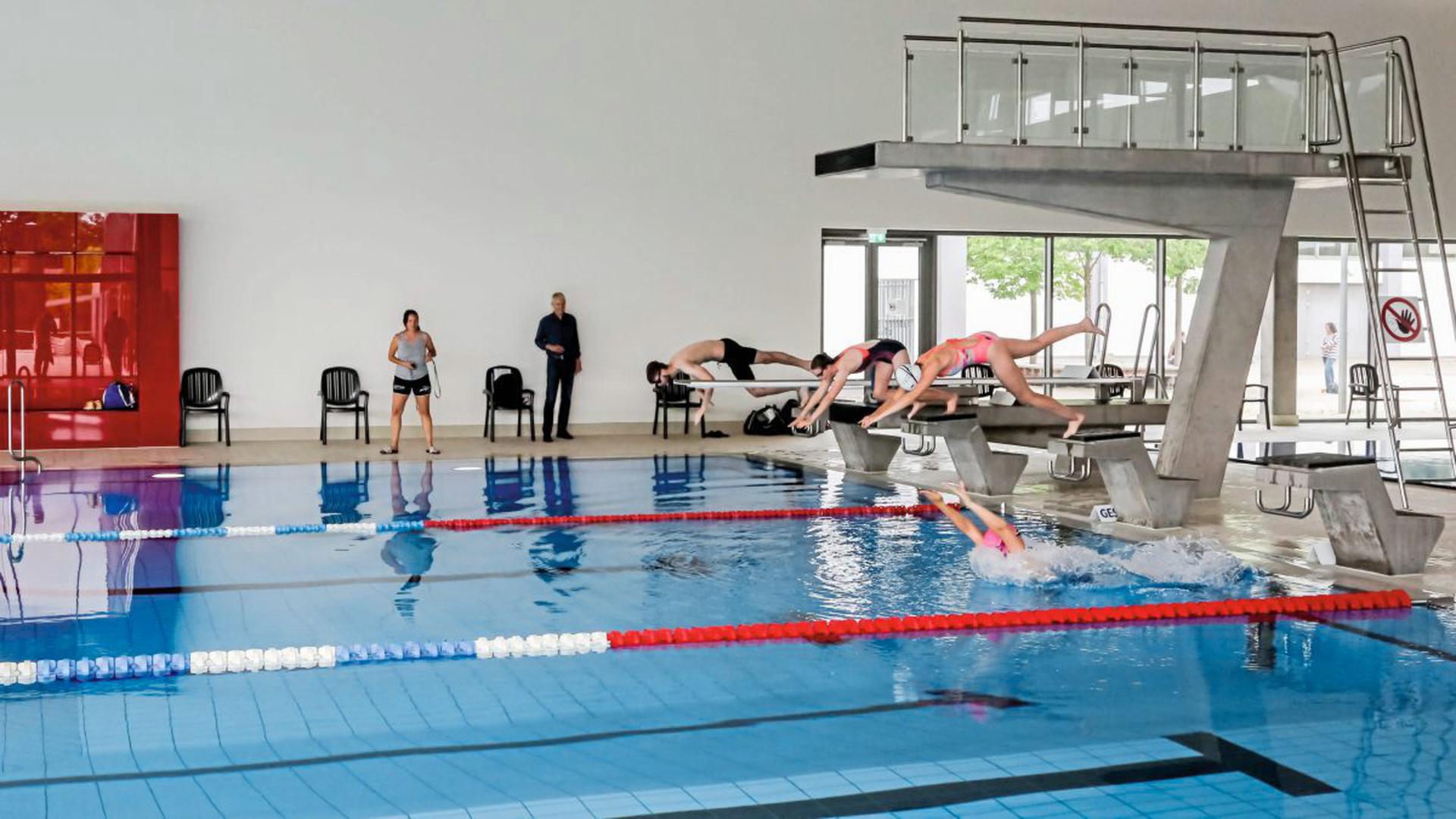 Auf die Plätze: Im Hallenbad trainieren Abiturienten des Edith-Stein-Gymnasiums für das Sportabi.